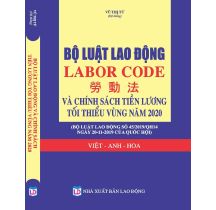 bo-luat-lao-dong-labor-code--chinh-sach-tang-luong-he-thong-thang-bang-luong-2020-viet-anh-