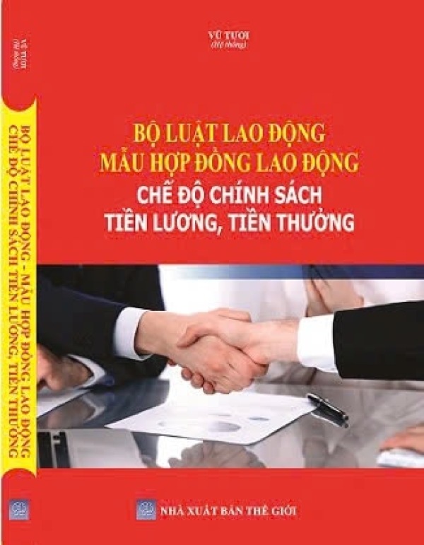 Bộ luật lao động, Mẫu hợp đồng lao động chế độ chính sách mới tiền lương, Tiền thưởng 