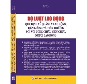 Bộ Luật Lao Động Quy Định Về Quản Lý Lao Động, Tiền Lương Và Tiền Thưởng Đối Với Công Chức, Viên Chức, Người Lao Động