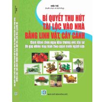 Bí quyết thu hút tài lộc vào nhà bằng linh vật, cây cảnh Tham khảo chọn ngày khai trương việc đại sự để gặp nhiều may mắn theo quan niệm người xưa