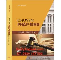 Chuyện pháp đình Bình luận án Đinh Văn Quế