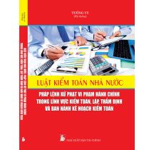 Luật kiểm toán Nhà Nước, Pháp lệnh xử phạt vi phạm hành chính trong lĩnh vực kiểm toán, lập, thẩm định và ban hành kế hoạch kiểm toán 