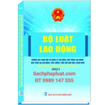 Bộ luật lao động những quy định mới về quản lý lao động, hợp đồng lao động, cho thuê lao động, tiền lương, thời giờ làm việc, nghỉ ngơi Theo nghị định số 145/2020/NĐ-CP áp dụng từ ngày 01/02/2021 