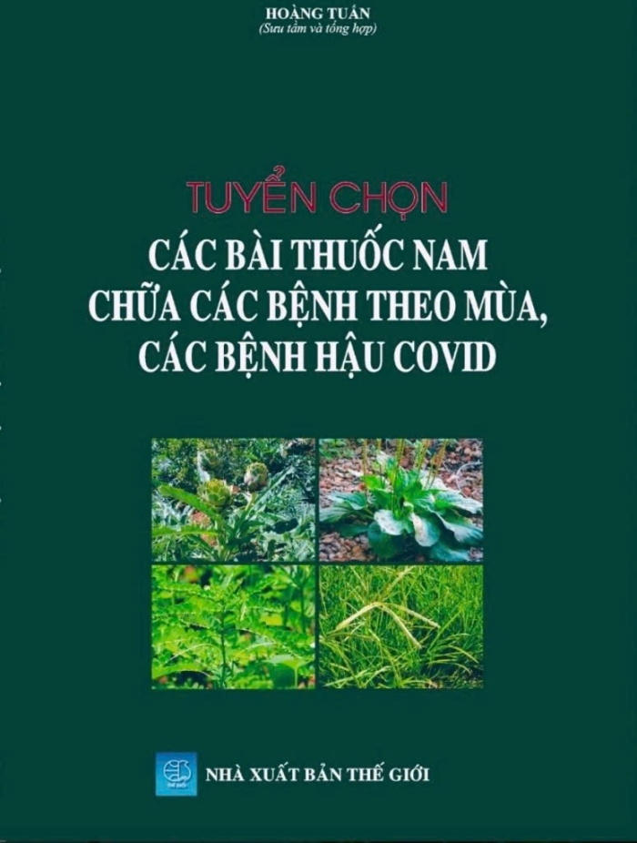 Tuyển chọn các bài thuốc nam chữa các bệnh theo mua, các bệnh hậu COVID